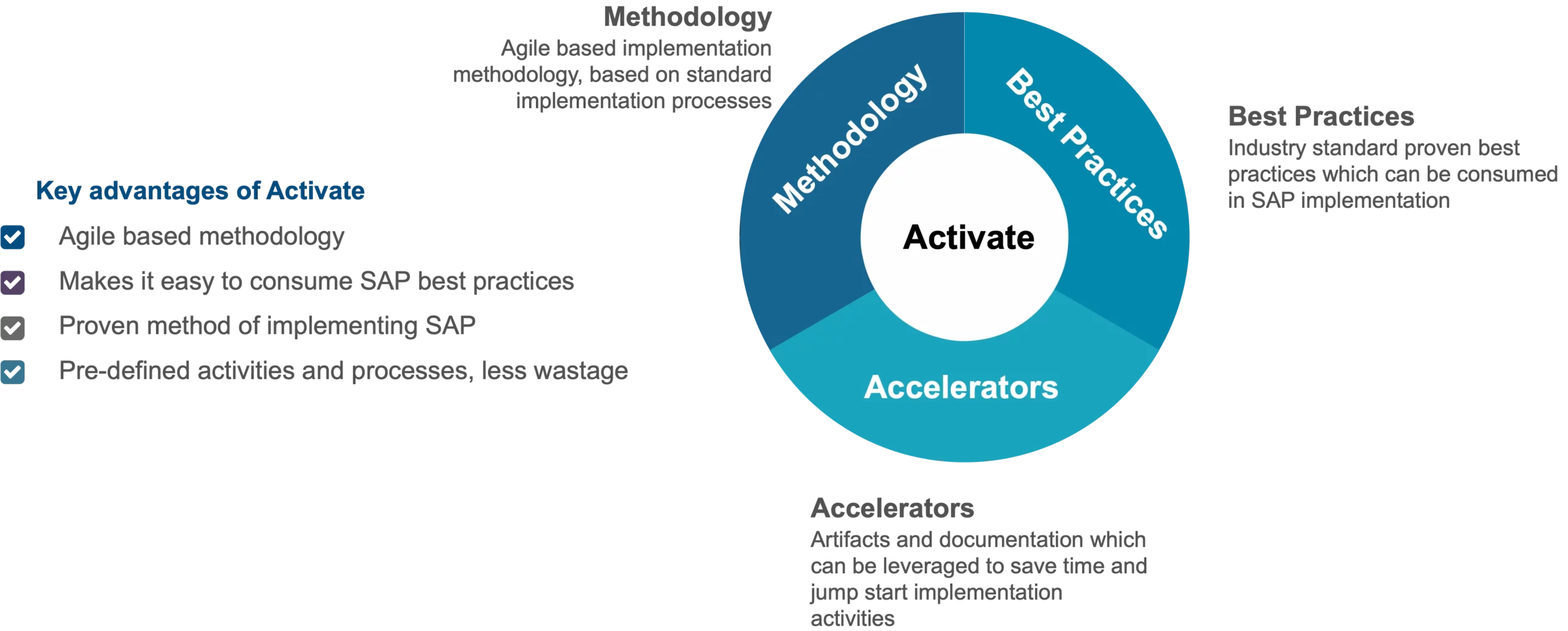 key components of SAP Activate